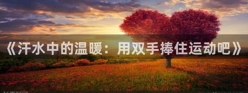 oety欧亿