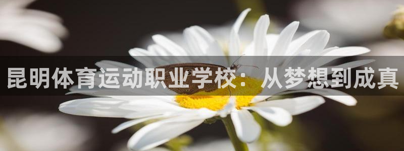 oety欧亿