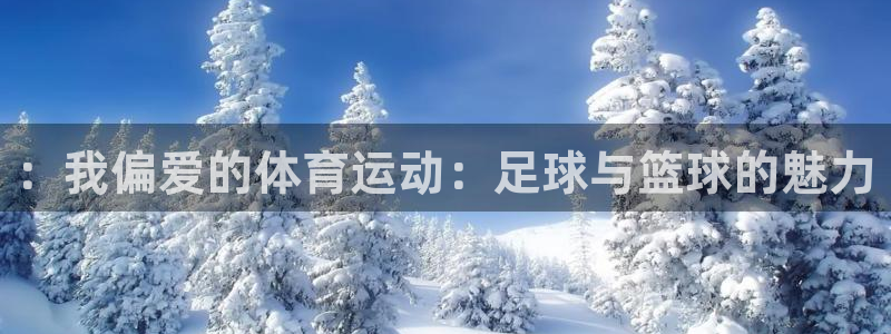 oety欧亿