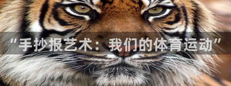 oety欧亿