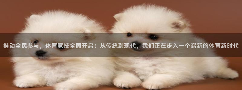 oety欧亿